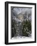 Fresh Snow Fall on Yosemite Falls, Yosemite Valley, Yosemite National Park, California, USA-Kober Christian-Framed Photographic Print