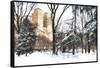 Fresh snow in Central Park-Philippe Hugonnard-Framed Stretched Canvas
