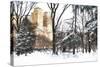 Fresh snow in Central Park-Philippe Hugonnard-Stretched Canvas