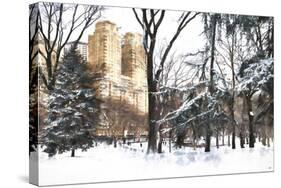 Fresh snow in Central Park-Philippe Hugonnard-Stretched Canvas