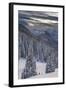 Fresh Snow in Evergreens, Wasatch Mountains, Uinta-Wasatch-Cache, Utah-Howie Garber-Framed Photographic Print