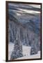 Fresh Snow in Evergreens, Wasatch Mountains, Uinta-Wasatch-Cache, Utah-Howie Garber-Framed Photographic Print