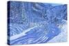 Fresh snow,Les Arcs,France-Andrew Macara-Stretched Canvas