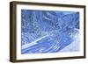 Fresh snow,Les Arcs,France-Andrew Macara-Framed Giclee Print