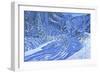 Fresh snow,Les Arcs,France-Andrew Macara-Framed Giclee Print