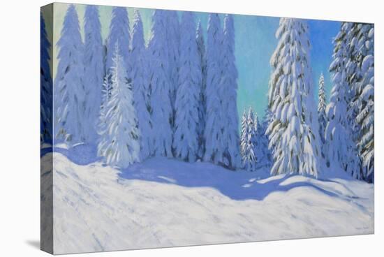 Fresh Snow, Morzine, France, 2015-Andrew Macara-Stretched Canvas