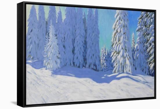 Fresh Snow, Morzine, France, 2015-Andrew Macara-Framed Stretched Canvas