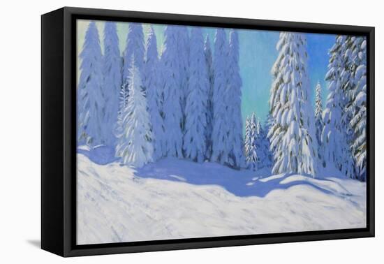 Fresh Snow, Morzine, France, 2015-Andrew Macara-Framed Stretched Canvas