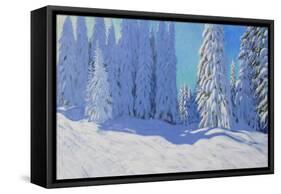 Fresh Snow, Morzine, France, 2015-Andrew Macara-Framed Stretched Canvas