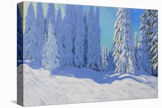 Fresh Snow, Morzine, France, 2015-Andrew Macara-Stretched Canvas