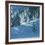 Fresh Snow, Morzine, France-Andrew Macara-Framed Giclee Print