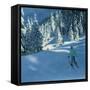 Fresh Snow, Morzine, France-Andrew Macara-Framed Stretched Canvas