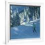 Fresh Snow, Morzine, France-Andrew Macara-Framed Giclee Print