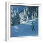 Fresh Snow, Morzine, France-Andrew Macara-Framed Giclee Print