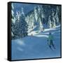 Fresh Snow, Morzine, France-Andrew Macara-Framed Stretched Canvas