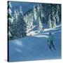 Fresh Snow, Morzine, France-Andrew Macara-Stretched Canvas