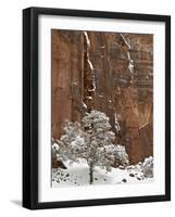 Fresh Snow on a Red Rock Cliff and Tree, Zion National Park, Utah, USA-James Hager-Framed Photographic Print