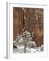 Fresh Snow on a Red Rock Cliff and Tree, Zion National Park, Utah, USA-James Hager-Framed Photographic Print