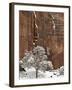 Fresh Snow on a Red Rock Cliff and Tree, Zion National Park, Utah, USA-James Hager-Framed Photographic Print