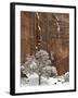 Fresh Snow on a Red Rock Cliff and Tree, Zion National Park, Utah, USA-James Hager-Framed Photographic Print