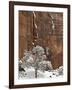 Fresh Snow on a Red Rock Cliff and Tree, Zion National Park, Utah, USA-James Hager-Framed Photographic Print