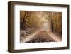 Fresh Snow on a Rural Road-Darrell Gulin-Framed Photographic Print