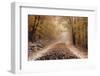 Fresh Snow on a Rural Road-Darrell Gulin-Framed Photographic Print