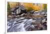 Fresh Snow on Aspens Along Bishop Creek, Inyo National Forest, California-Russ Bishop-Framed Photographic Print