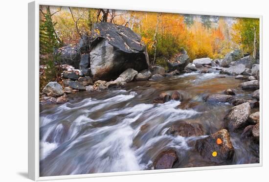 Fresh Snow on Aspens Along Bishop Creek, Inyo National Forest, California-Russ Bishop-Framed Photographic Print