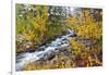 Fresh Snow on Aspens and Pines Along Bishop Creek, Inyo National Forest, California-Russ Bishop-Framed Photographic Print