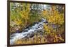 Fresh Snow on Aspens and Pines Along Bishop Creek, Inyo National Forest, California-Russ Bishop-Framed Photographic Print