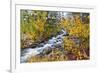 Fresh Snow on Aspens and Pines Along Bishop Creek, Inyo National Forest, California-Russ Bishop-Framed Photographic Print