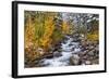 Fresh Snow on Aspens and Pines Along Bishop Creek, Inyo National Forest, California-Russ Bishop-Framed Photographic Print