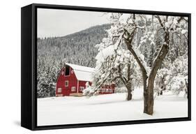 Fresh Snow on Red Barn Near Salmo, British Columbia, Canada-Chuck Haney-Framed Stretched Canvas