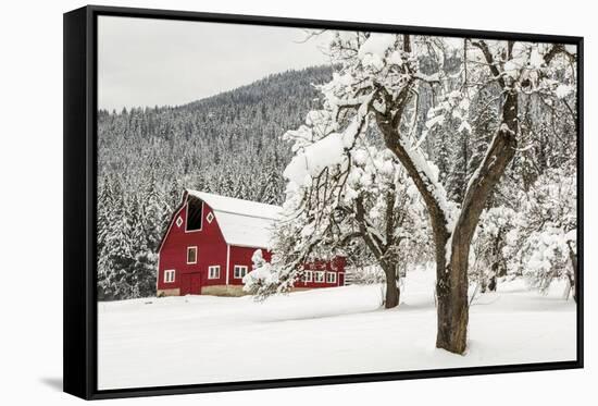 Fresh Snow on Red Barn Near Salmo, British Columbia, Canada-Chuck Haney-Framed Stretched Canvas