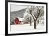 Fresh Snow on Red Barn Near Salmo, British Columbia, Canada-Chuck Haney-Framed Premium Photographic Print