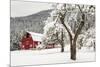 Fresh Snow on Red Barn Near Salmo, British Columbia, Canada-Chuck Haney-Mounted Premium Photographic Print