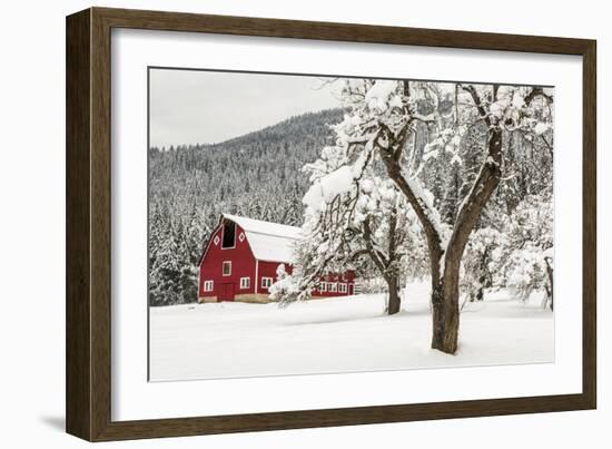 Fresh Snow on Red Barn Near Salmo, British Columbia, Canada-Chuck Haney-Framed Photographic Print