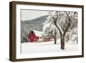 Fresh Snow on Red Barn Near Salmo, British Columbia, Canada-Chuck Haney-Framed Photographic Print