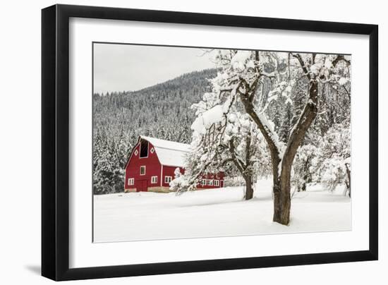 Fresh Snow on Red Barn Near Salmo, British Columbia, Canada-Chuck Haney-Framed Photographic Print