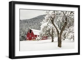 Fresh Snow on Red Barn Near Salmo, British Columbia, Canada-Chuck Haney-Framed Photographic Print