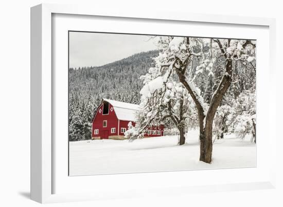 Fresh Snow on Red Barn Near Salmo, British Columbia, Canada-Chuck Haney-Framed Photographic Print