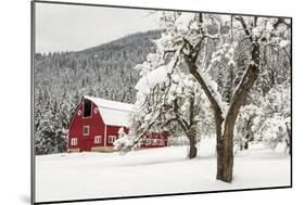 Fresh Snow on Red Barn Near Salmo, British Columbia, Canada-Chuck Haney-Mounted Photographic Print