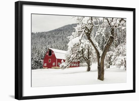 Fresh Snow on Red Barn Near Salmo, British Columbia, Canada-Chuck Haney-Framed Photographic Print