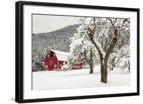 Fresh Snow on Red Barn Near Salmo, British Columbia, Canada-Chuck Haney-Framed Photographic Print