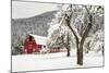 Fresh Snow on Red Barn Near Salmo, British Columbia, Canada-Chuck Haney-Mounted Photographic Print