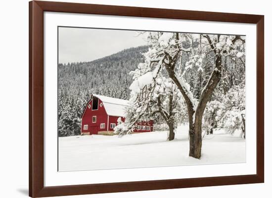 Fresh Snow on Red Barn Near Salmo, British Columbia, Canada-Chuck Haney-Framed Photographic Print