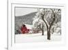 Fresh Snow on Red Barn Near Salmo, British Columbia, Canada-Chuck Haney-Framed Photographic Print