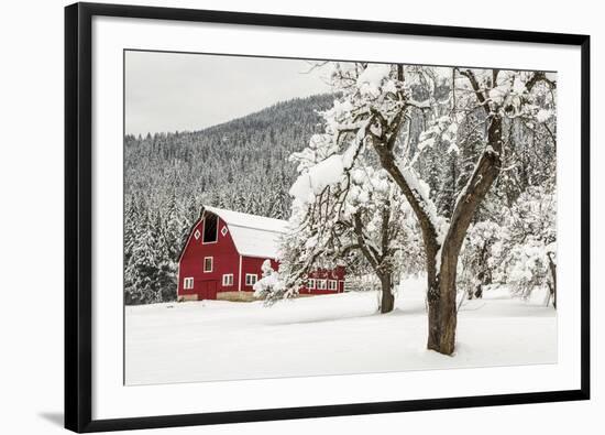 Fresh Snow on Red Barn Near Salmo, British Columbia, Canada-Chuck Haney-Framed Photographic Print