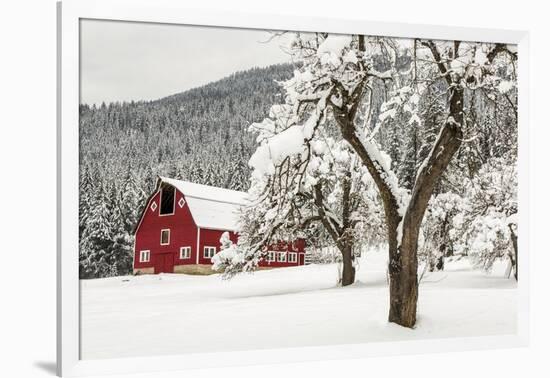 Fresh Snow on Red Barn Near Salmo, British Columbia, Canada-Chuck Haney-Framed Photographic Print